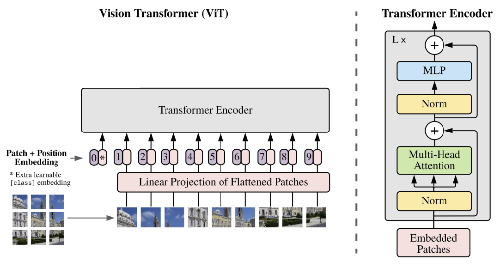Vision Transformer Architecture