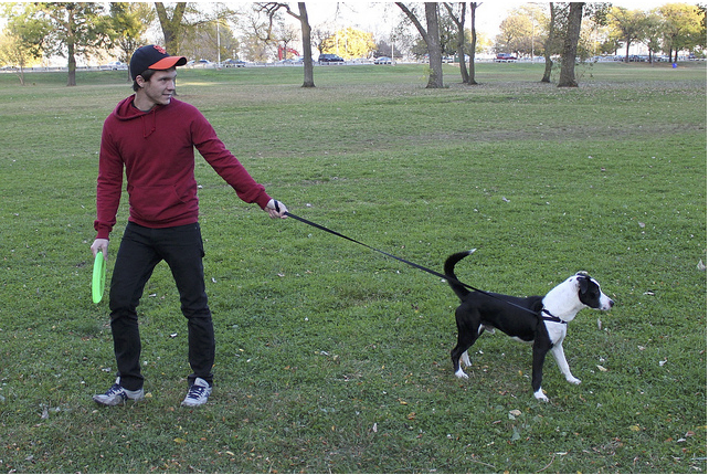 COCO Dataset Example 2